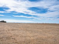 an empty dirt field with bare trees on top and some blue sky in the distance