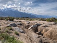 Exploring Alabama Hills: Dirt Roads Under Clear California Skies