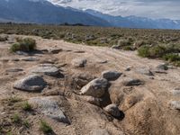 Exploring Alabama Hills: Dirt Roads Under Clear California Skies