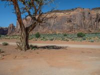 Exploring the Arizona & Utah Landscape Under a Clear Sky