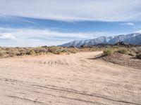 Exploring California's Desert Roads and Tracks