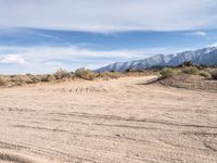 Exploring California's Desert Roads and Tracks