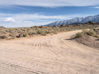 Exploring California's Desert Roads and Tracks