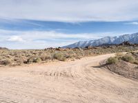 Exploring California's Desert Roads and Tracks