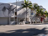 Exploring Los Angeles's Asphalt Roads