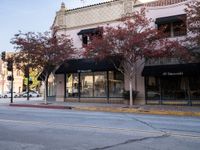 Exploring Los Angeles: Asphalt Roads and Classic Storefronts