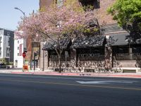 Exploring Los Angeles: Classic Architecture and Storefronts