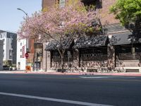 Exploring Los Angeles: Classic Architecture and Storefronts