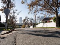 Exploring Los Angeles Residential Roads