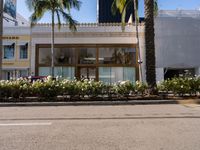 Exploring Los Angeles: Shopping on Asphalt Roads