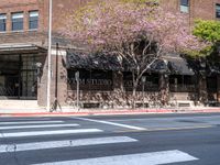 Exploring Los Angeles: Urban Road With Storefronts