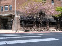 Exploring Los Angeles: Urban Road With Storefronts