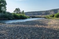 Exploring the Lush Nature and Open Space in Antonito