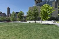 Exploring New York City Neighborhoods: A Day in the Urban Landscape