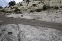 there is a large rock with a small dog on it in the desert road, near a trail