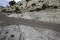 there is a large rock with a small dog on it in the desert road, near a trail