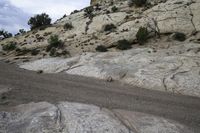 there is a large rock with a small dog on it in the desert road, near a trail