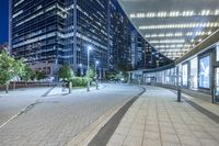 city view at night with lights in buildings, walkways and street lights near buildings