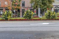 there is an image of a town street in the fall season that appears to be a busy, crowded, and attractive place