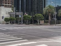 a white car is driving down an urban street near tall buildings with palm trees on the side