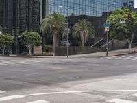 a white car is driving down an urban street near tall buildings with palm trees on the side