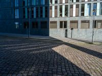 an outside area with some buildings and brick pavers in it, including a small tree