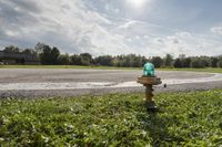 fire hydrant in green grass next to paved roadway and sky background with fluffy clouds