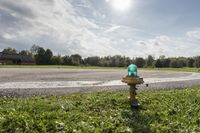 fire hydrant in green grass next to paved roadway and sky background with fluffy clouds