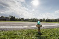 fire hydrant in green grass next to paved roadway and sky background with fluffy clouds