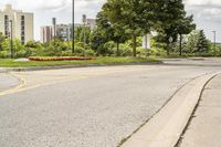 a fire hydrant in a deserted street with trees and buildings in the background '