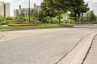 a fire hydrant in a deserted street with trees and buildings in the background '
