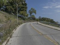 a fire hydrant sitting on the side of a road near grass and trees -