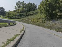 a fire hydrant sitting on the side of a road near grass and trees -