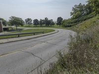 a fire hydrant sitting on the side of a road near grass and trees -