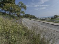 a fire hydrant sitting on the side of a road near grass and trees -