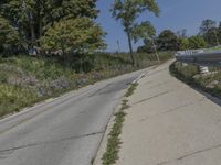 a fire hydrant sitting on the side of a road near grass and trees -