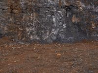 a white fire hydrant is in front of a black rock wall, with an abstract line on the front