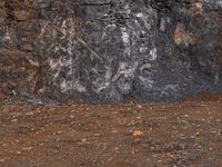 a white fire hydrant is in front of a black rock wall, with an abstract line on the front