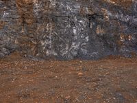 a white fire hydrant is in front of a black rock wall, with an abstract line on the front