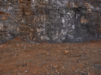 a white fire hydrant is in front of a black rock wall, with an abstract line on the front