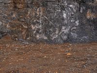 a white fire hydrant is in front of a black rock wall, with an abstract line on the front