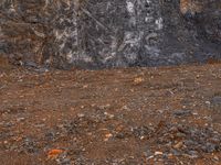 a white fire hydrant is in front of a black rock wall, with an abstract line on the front