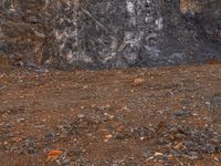 a white fire hydrant is in front of a black rock wall, with an abstract line on the front