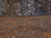 a white fire hydrant is in front of a black rock wall, with an abstract line on the front