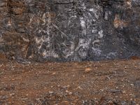 a white fire hydrant is in front of a black rock wall, with an abstract line on the front