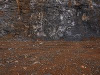 a white fire hydrant is in front of a black rock wall, with an abstract line on the front