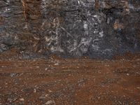 a white fire hydrant is in front of a black rock wall, with an abstract line on the front