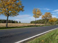 a fire hydrant is in the middle of a country road, surrounded by tall grass and trees