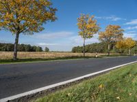 a fire hydrant is in the middle of a country road, surrounded by tall grass and trees