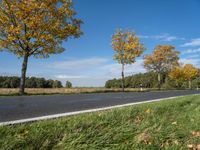 a fire hydrant is in the middle of a country road, surrounded by tall grass and trees